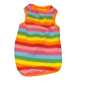 small dog rainbow striped shirt